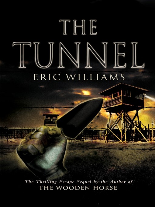Cover image for The Tunnel